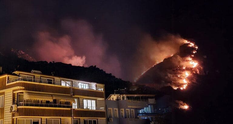 istanbul-ve-balikesirde-orman-yangini-yerlesim-yerlerine-ilerliyor-TH5pStVT.jpg
