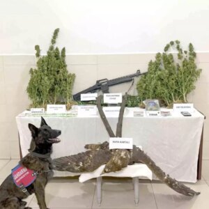 uyusturucu ve kacak avcilikla tutuklama WDGANQIl