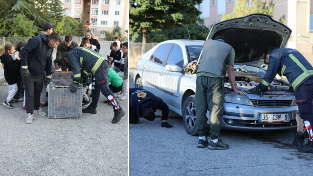 kopeklerden kacip otomobilin kaputuna sigindi lkaIQgCi