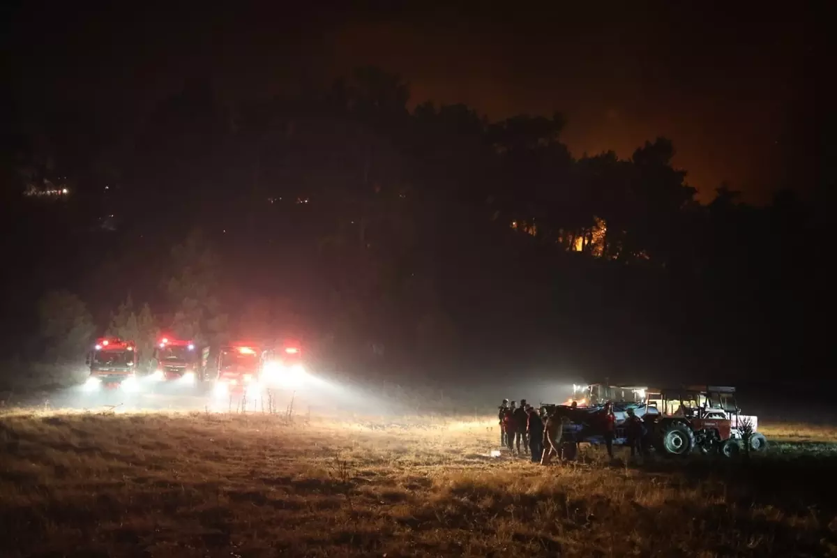 koycegizde orman yanginina mudahale eAzia3EN