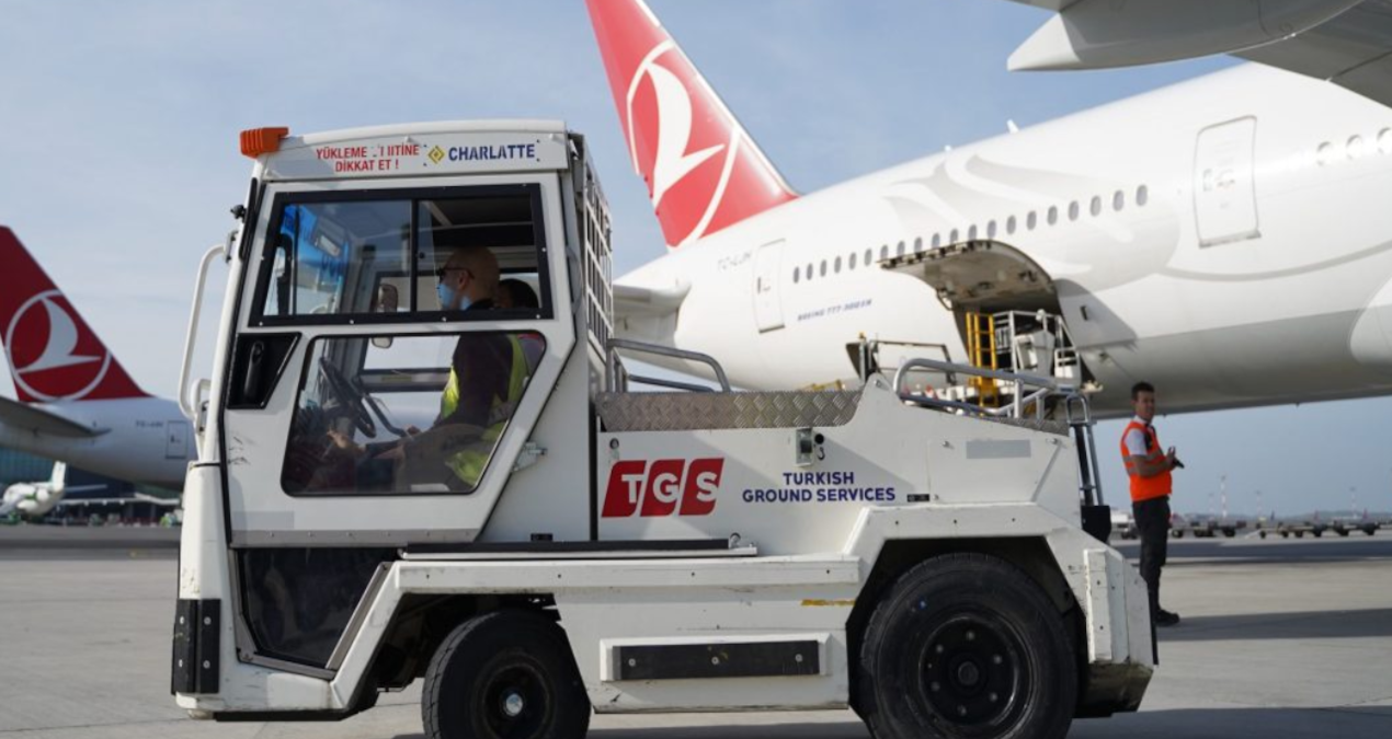 tgs kadin sofor alimi yapacak dA3pjuQ2