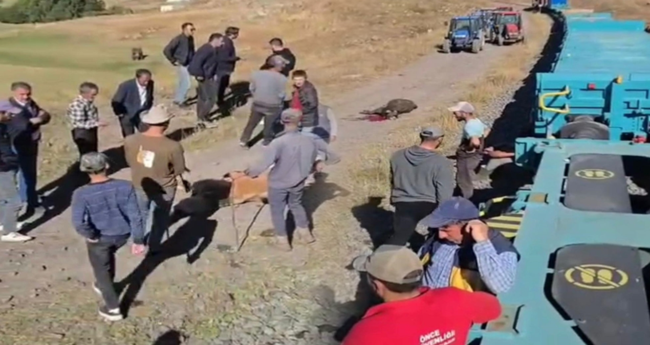 yuk treni buyukbas surusune carpti 5 inek oldu 8RFFyBve