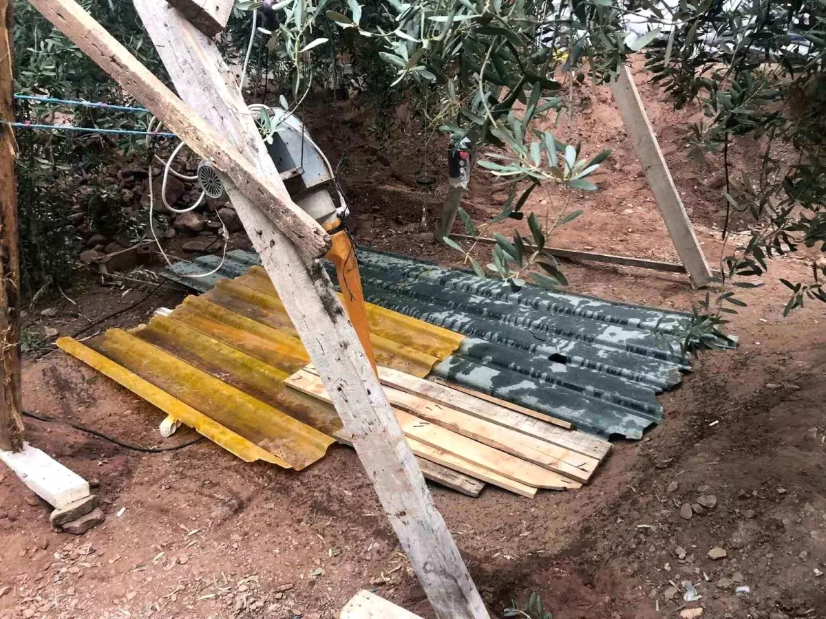 define avinda sucustu yakalandi xdIxaCqa.jpg