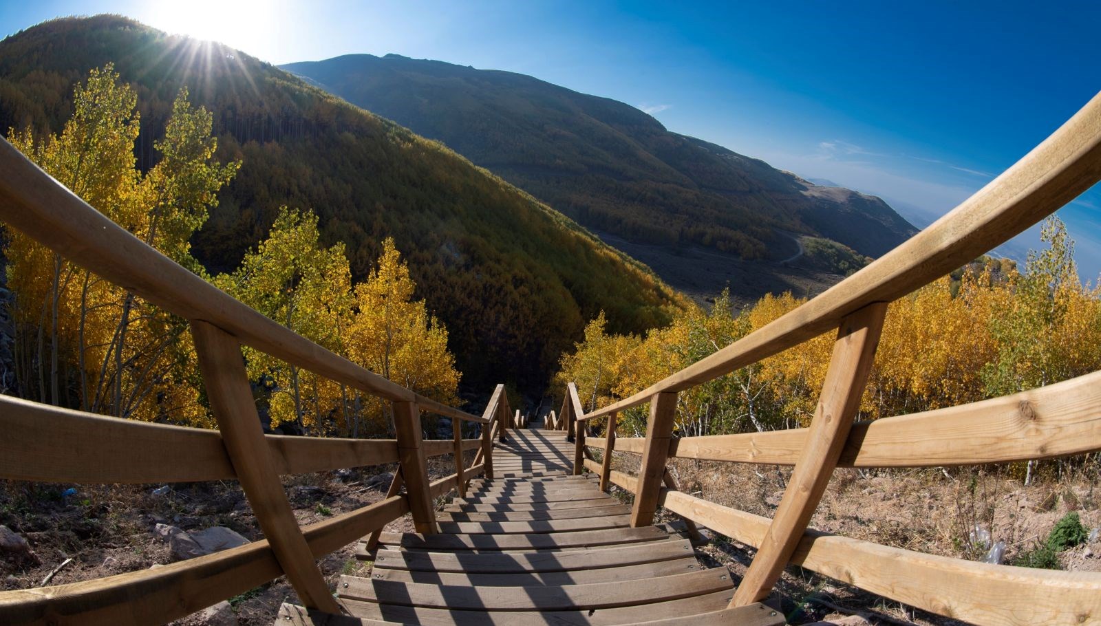 dogaseverlerin kayserideki sakli hazinesi ortaseki ormanlari PEibElTy