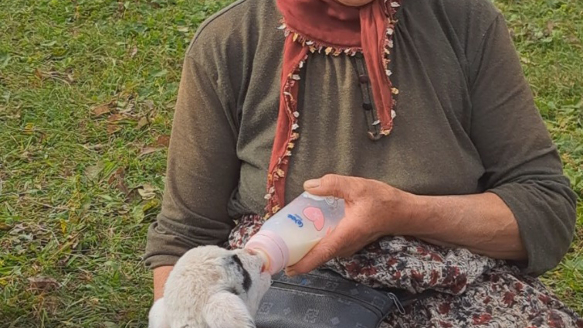 orduda esinden sonra ogluyla cobanlik yapiyor vDzXbaUN.jpg