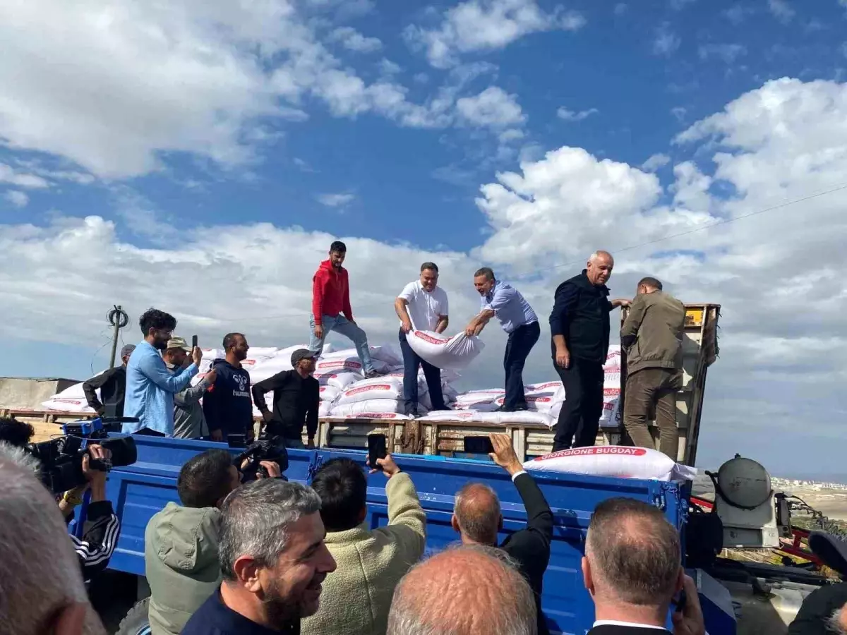 sincan belediyesi ciftcilere yuzde 75 hibeli bugday tohumu destegi verdi VgyEWwnM.jpg