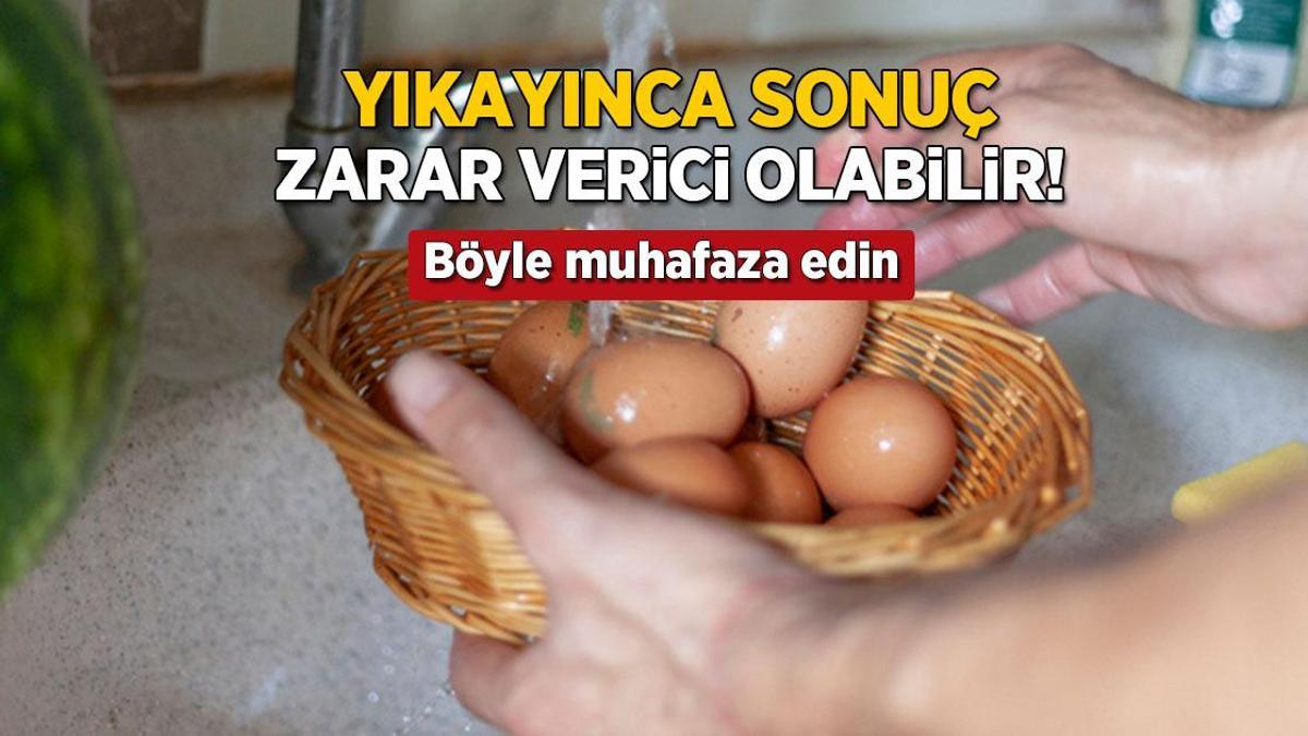 yikayinca sonuc salmonella bakterisi yumurtayi boyle muhafaza etmek sart G6A8Up4X.jpg