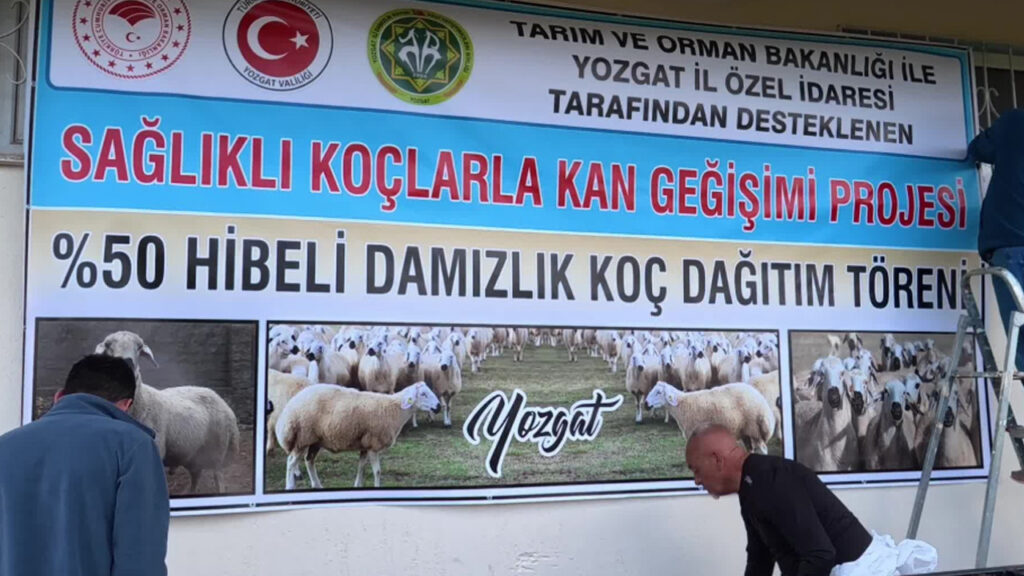 Yozgat’ta Küçükbaş Hayvancılıkta Verim Artışı İçin “Kan Değişimi” Projesi Hayata Geçti