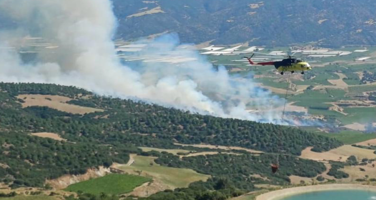 Manisa ve mugladaki orman yanginlari kontrol altinda kNaqpUGc